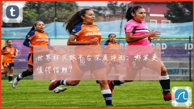 世界杯买球平台深度评测：哪家更值得信赖？