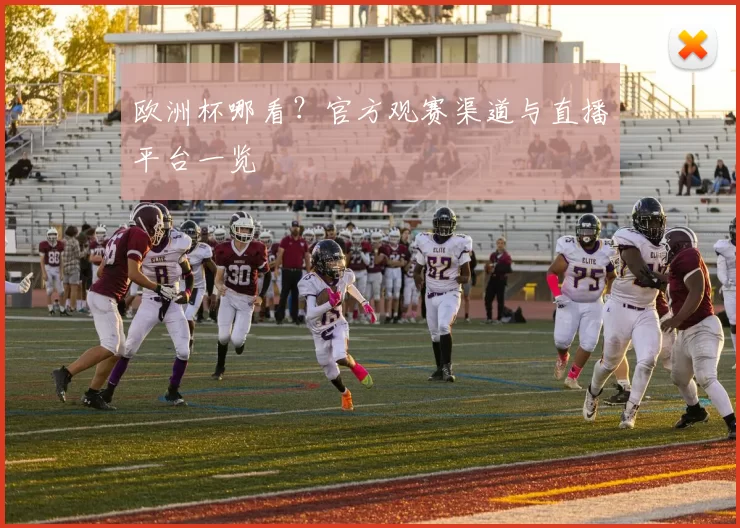欧洲杯哪看?官方观赛渠道与直播平台一览