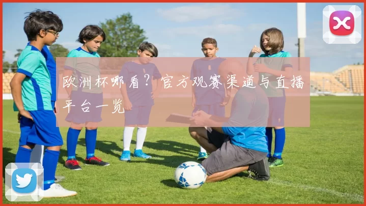 欧洲杯哪看?官方观赛渠道与直播平台一览