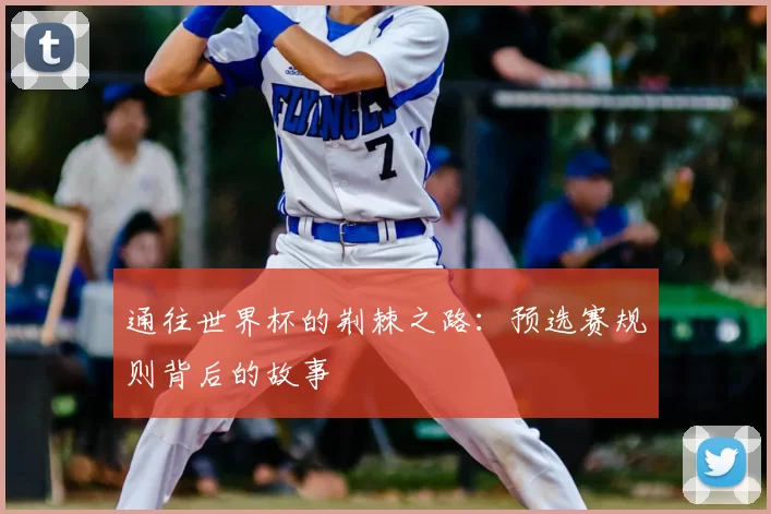 通往世界杯的荆棘之路：预选赛规则背后的故事