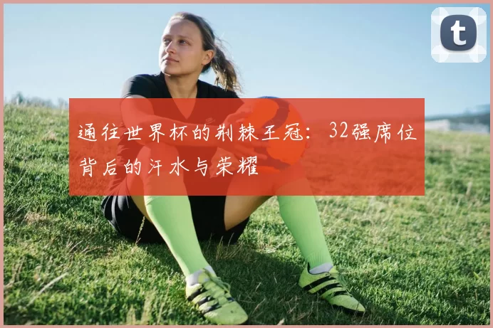 通往世界杯的荆棘王冠：32强席位背后的汗水与荣耀