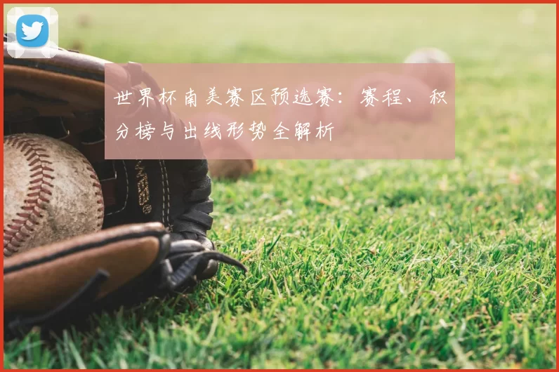 世界杯南美赛区预选赛:赛程、积分榜与出线形势全解析
