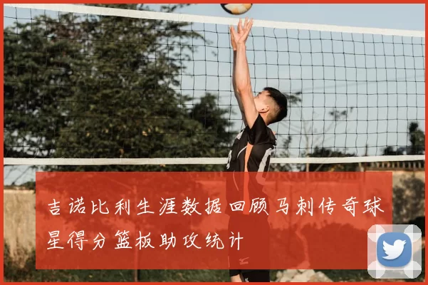吉诺比利生涯数据回顾马刺传奇球星得分篮板助攻统计