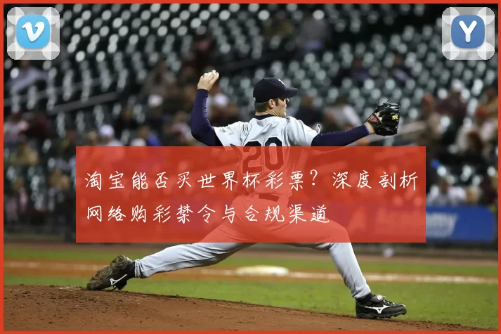 淘宝能否买世界杯彩票?深度剖析网络购彩禁令与合规渠道