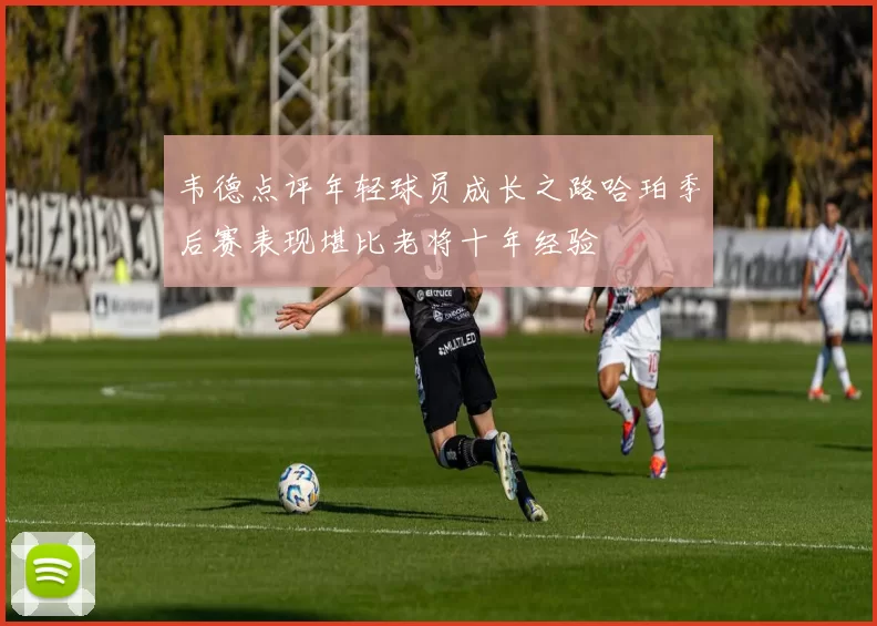 韦德点评年轻球员成长之路哈珀季后赛表现堪比老将十年经验