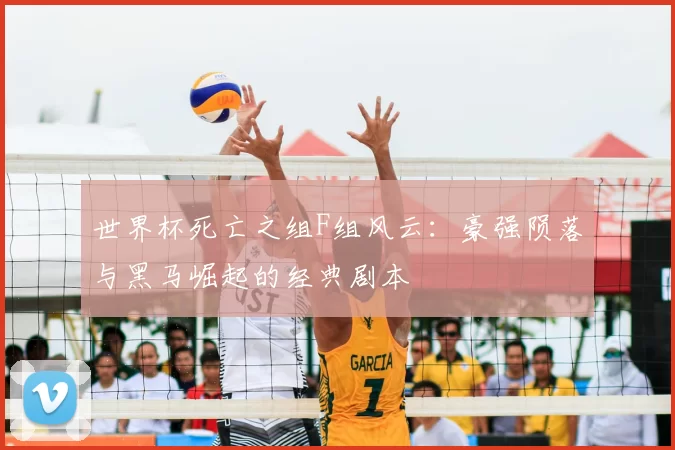 世界杯死亡之组F组风云:豪强陨落与黑马崛起的经典剧本