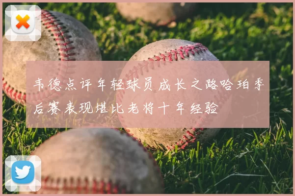 韦德点评年轻球员成长之路哈珀季后赛表现堪比老将十年经验