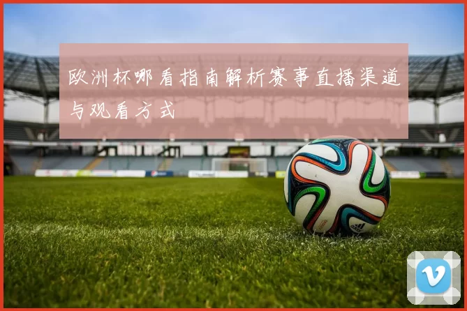 欧洲杯哪看指南解析赛事直播渠道与观看方式
