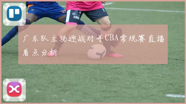 广东队主场迎战对手CBA常规赛直播看点分析