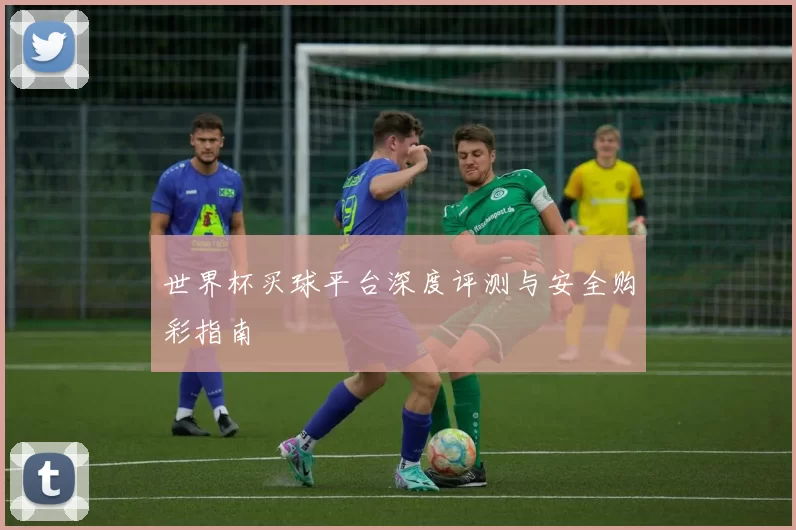 世界杯买球平台深度评测与安全购彩指南