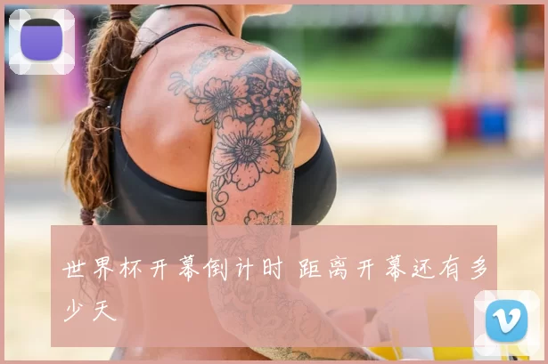世界杯开幕倒计时 距离开幕还有多少天
